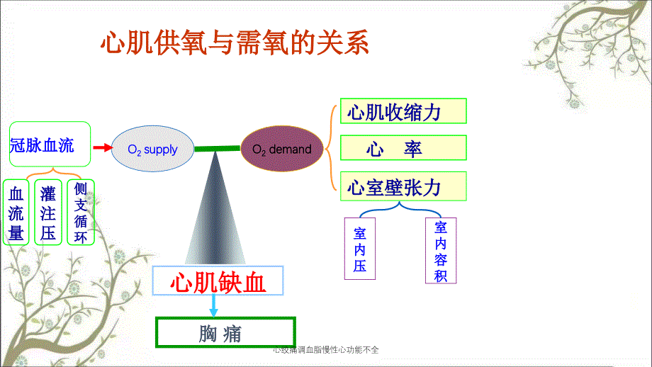 心绞痛调血脂慢性心功能不全_第3页