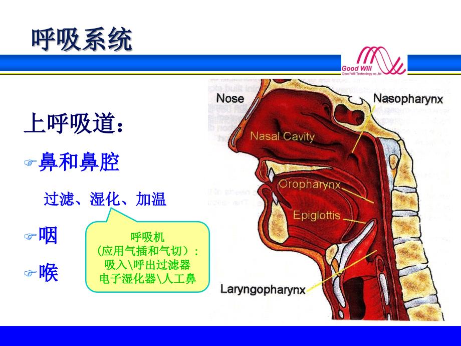 呼吸生理和呼吸模式_第4页