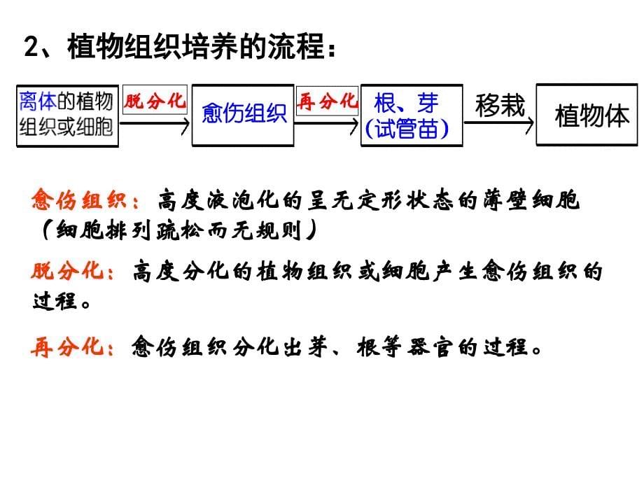 植物组织培养技术_第5页