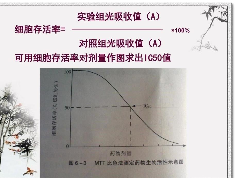 抗肿瘤药物筛选ppt课件_第5页