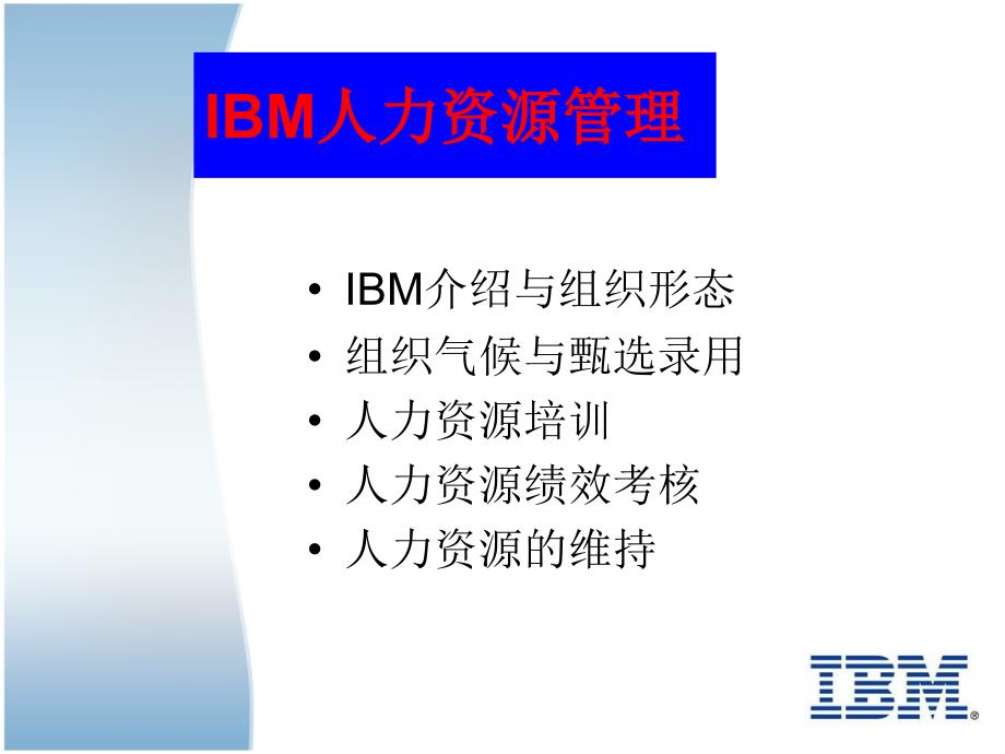 IBM人力资源管理_第2页