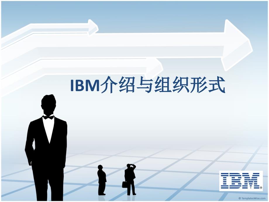 IBM人力资源管理_第3页