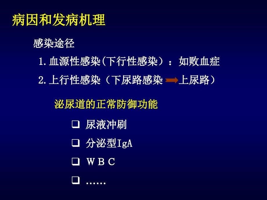 本科泌尿系统疾病PPT文档资料_第5页