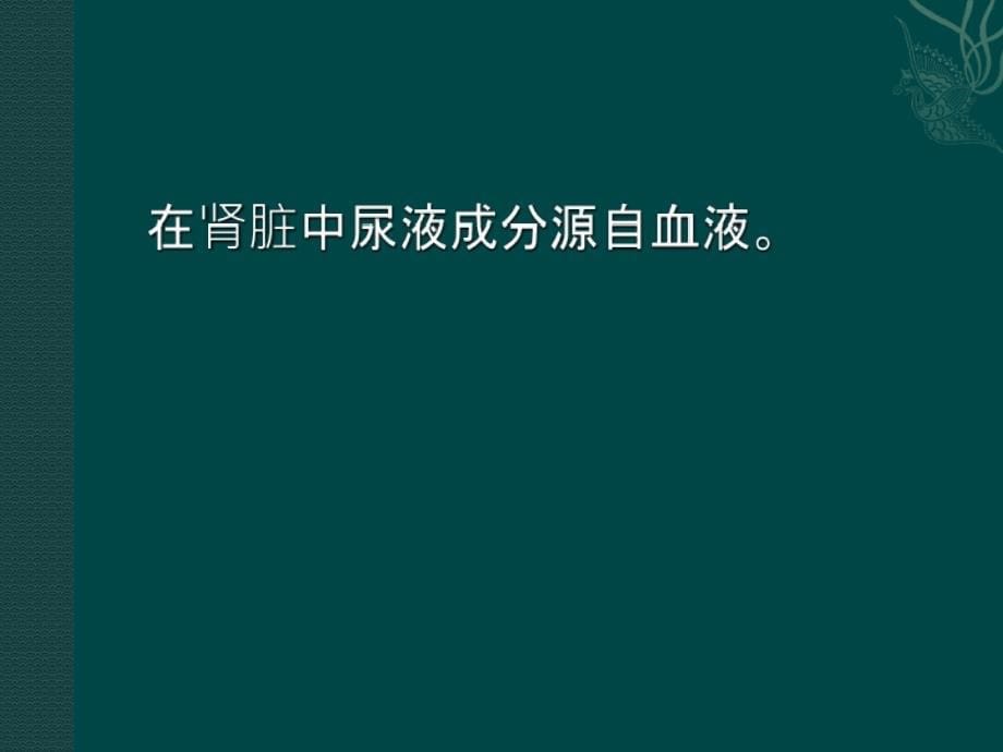 泌尿系统内环境稳定_第5页