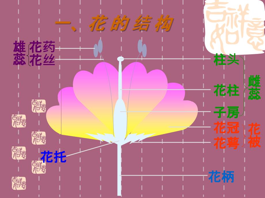 花的结构和类型1ppt课件_第2页