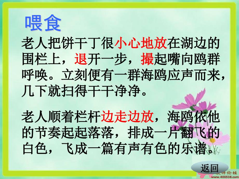 人教新课标六年级语文上册课件老人与海鸥7_第3页