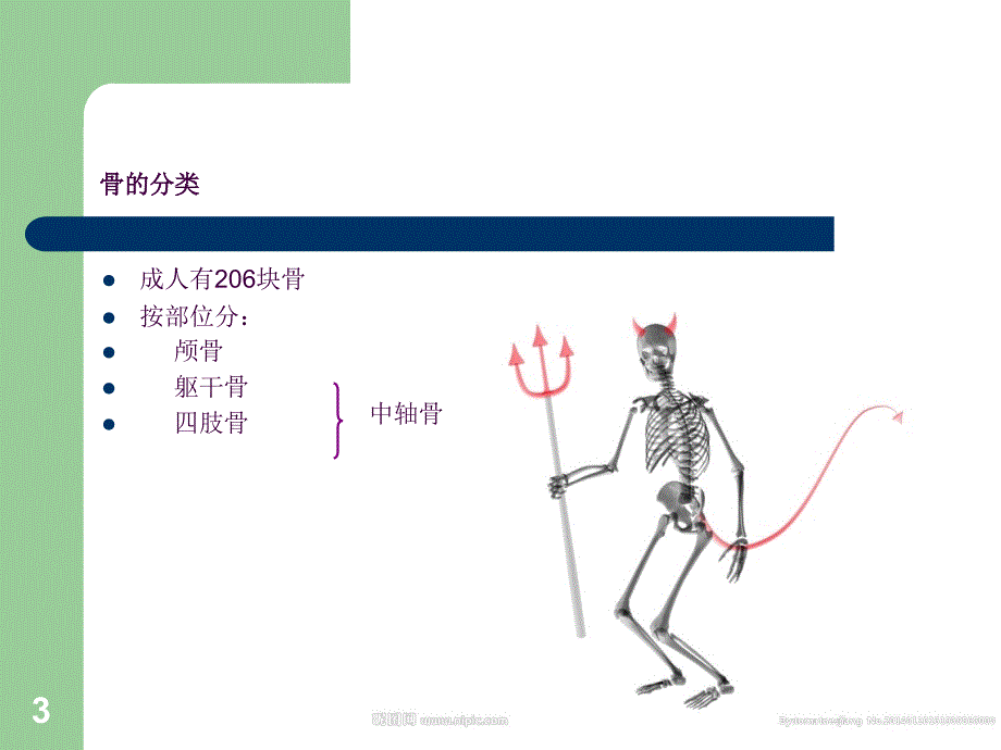 骨骼的力学特性ppt课件_第3页