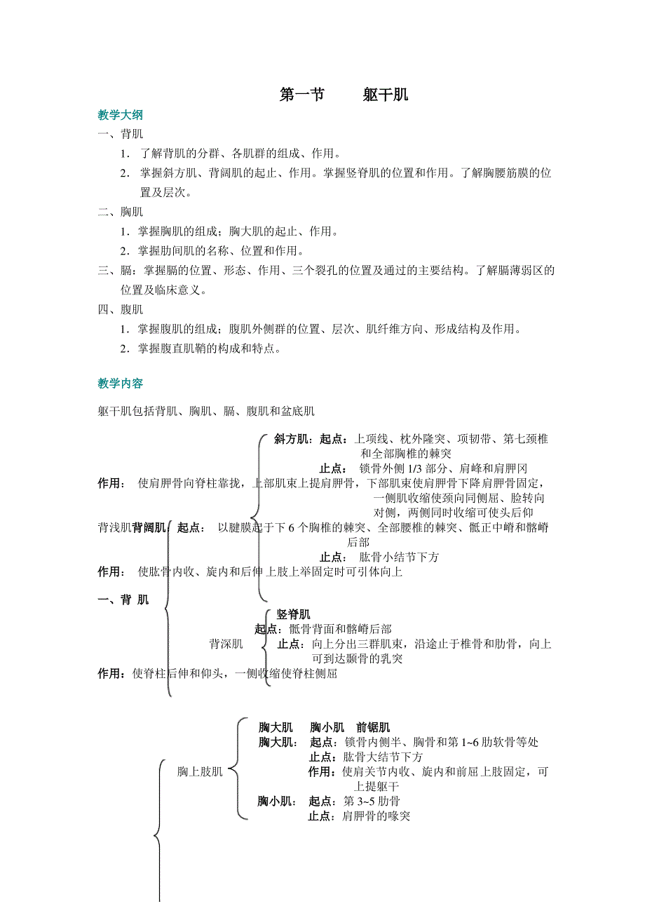 躯干肌系统解剖教案_第1页