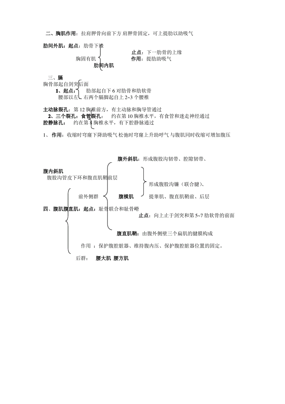 躯干肌系统解剖教案_第2页