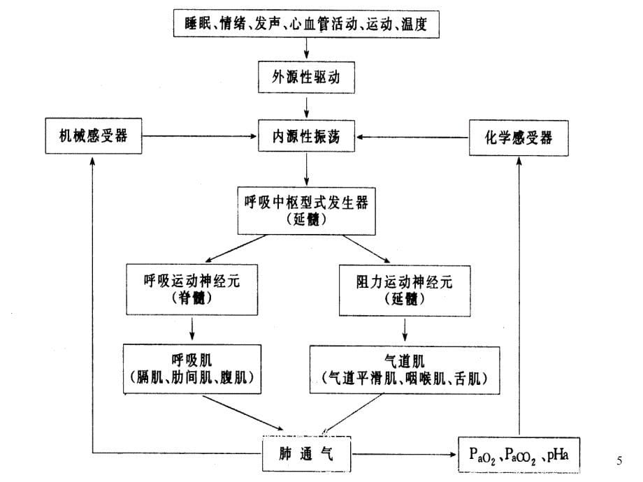 阻塞性睡眠呼吸暂停低通气综合症的治疗_第5页