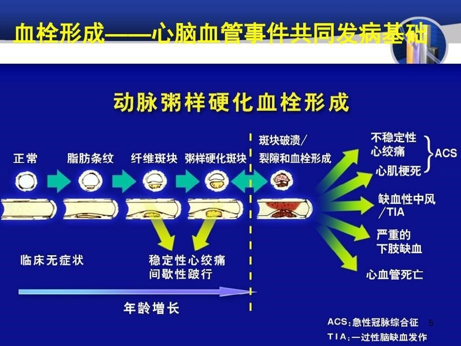 冠心病分层诊断与处理_第5页