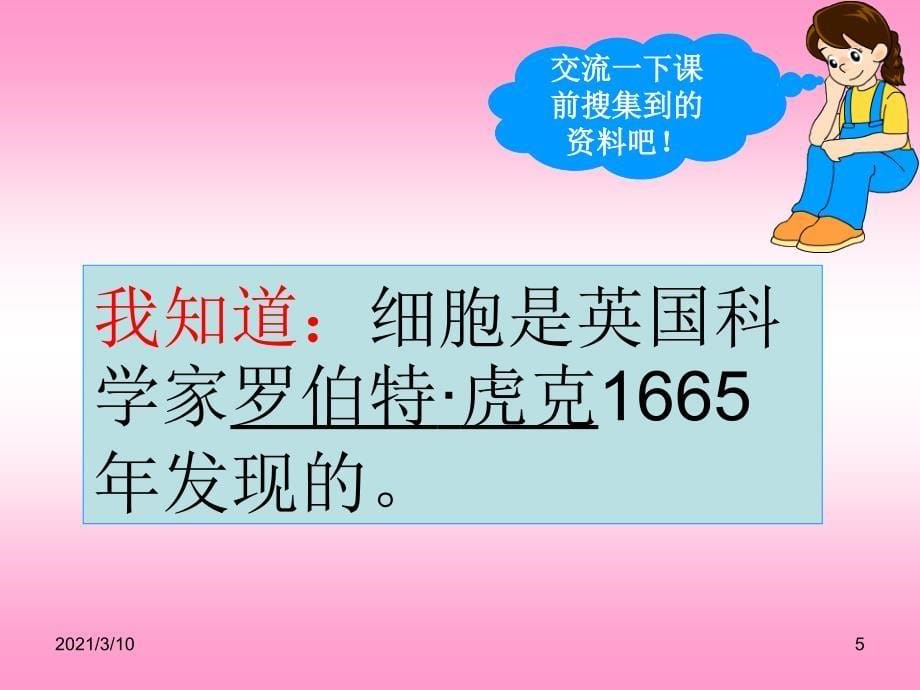 六年级下科学课件细胞3青岛版六年制三起_第5页