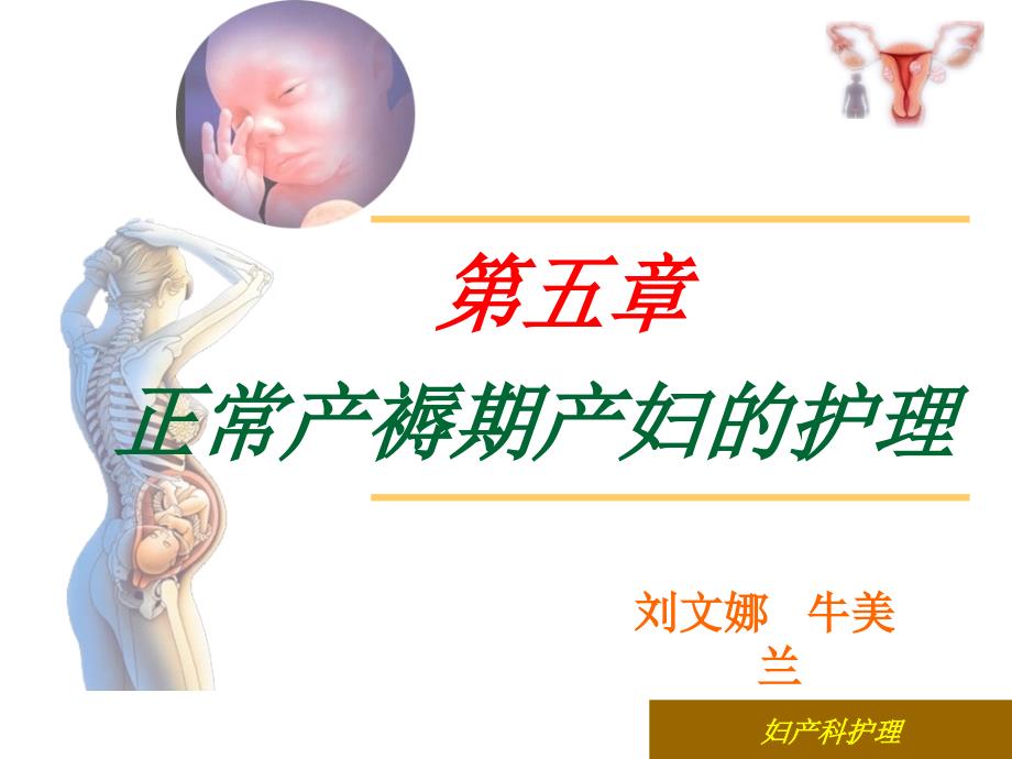 正常产褥期产妇的护理.ppt_第1页