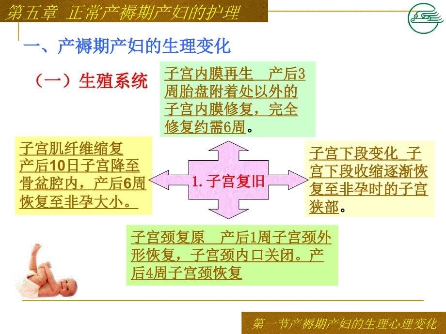 正常产褥期产妇的护理.ppt_第5页