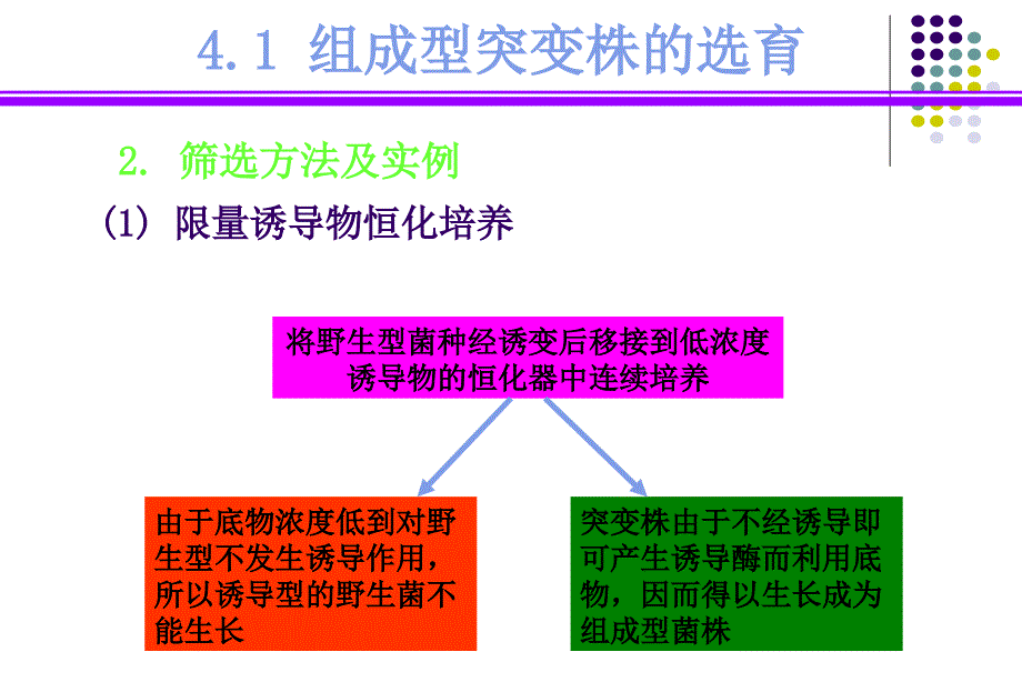 《代谢控制和育种》PPT课件.ppt_第4页