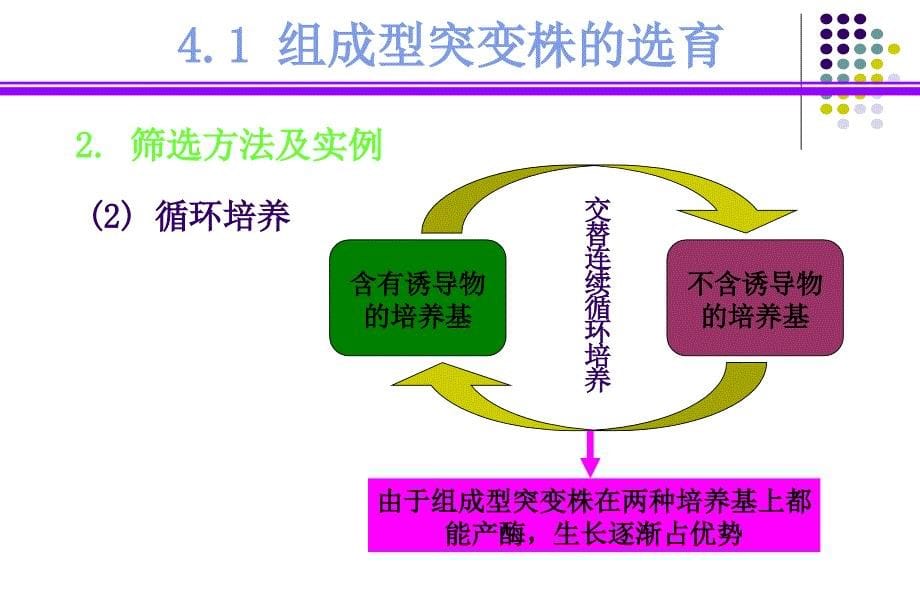 《代谢控制和育种》PPT课件.ppt_第5页