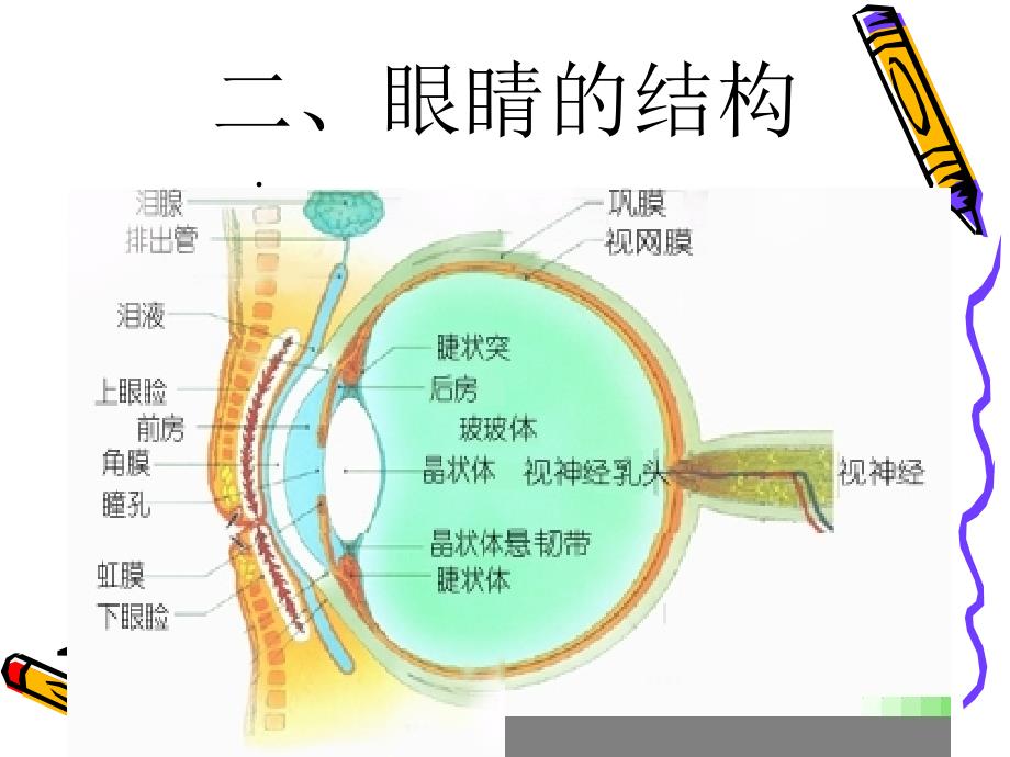 爱眼护眼主题班会PPT课件_第2页