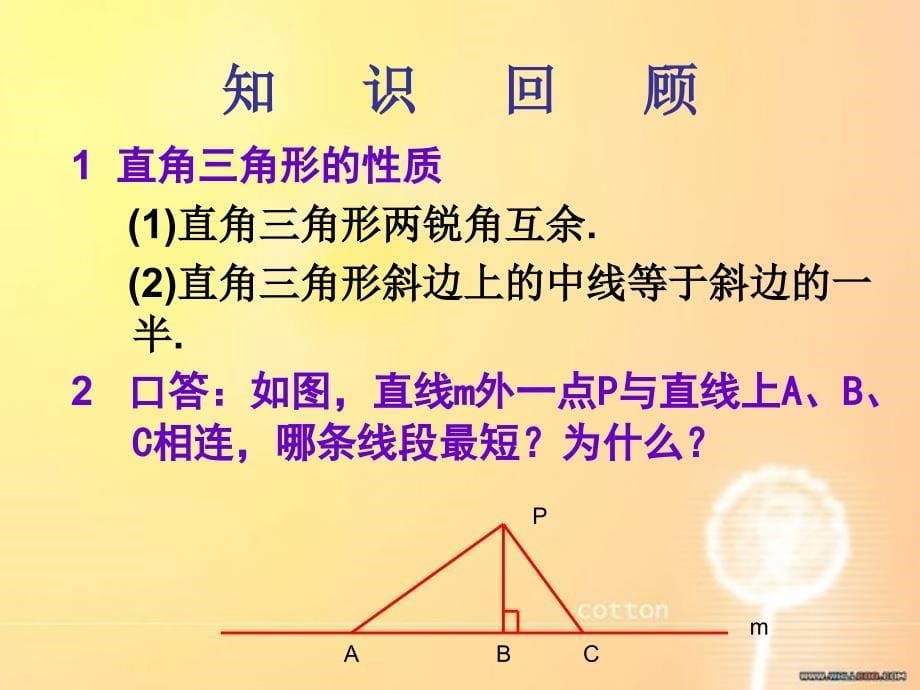 351直角三角形的性质和判定(二)_第5页