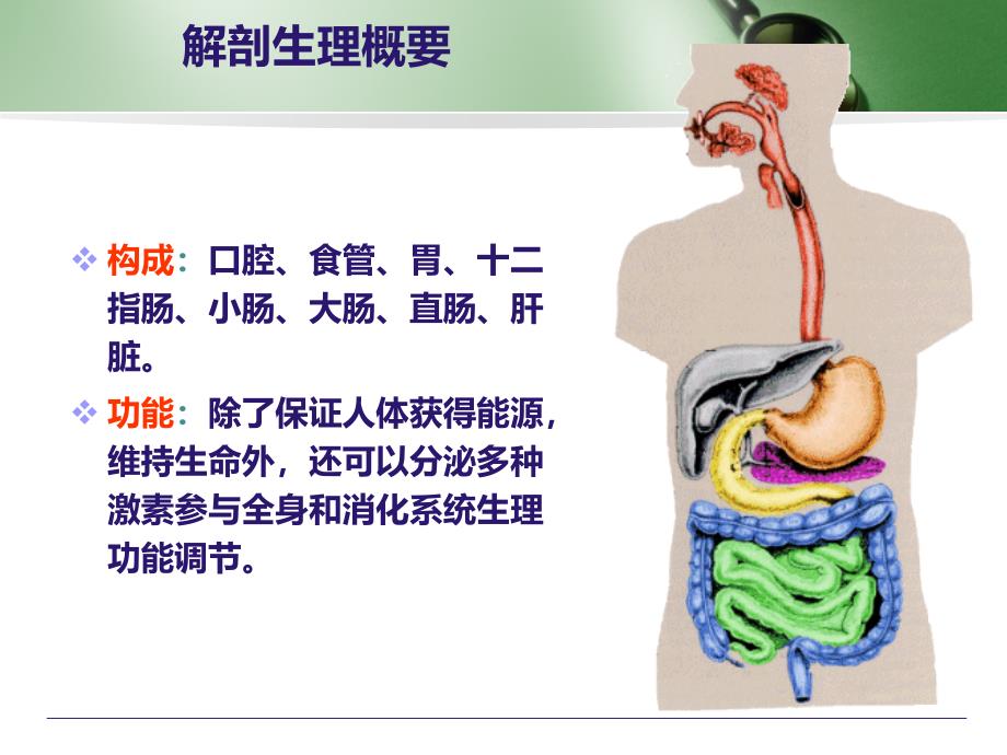 消化系统疾病病人的护理.ppt_第2页