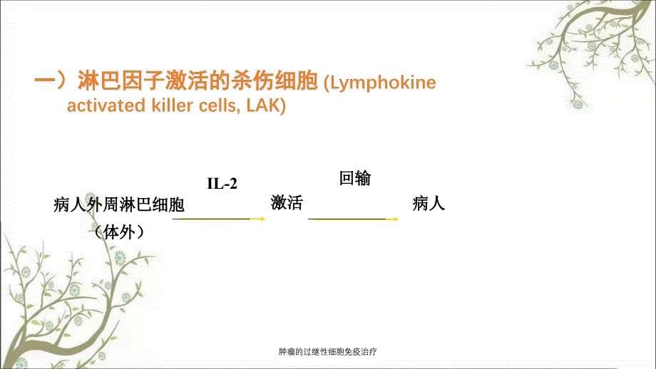 肿瘤的过继性细胞免疫治疗_第5页