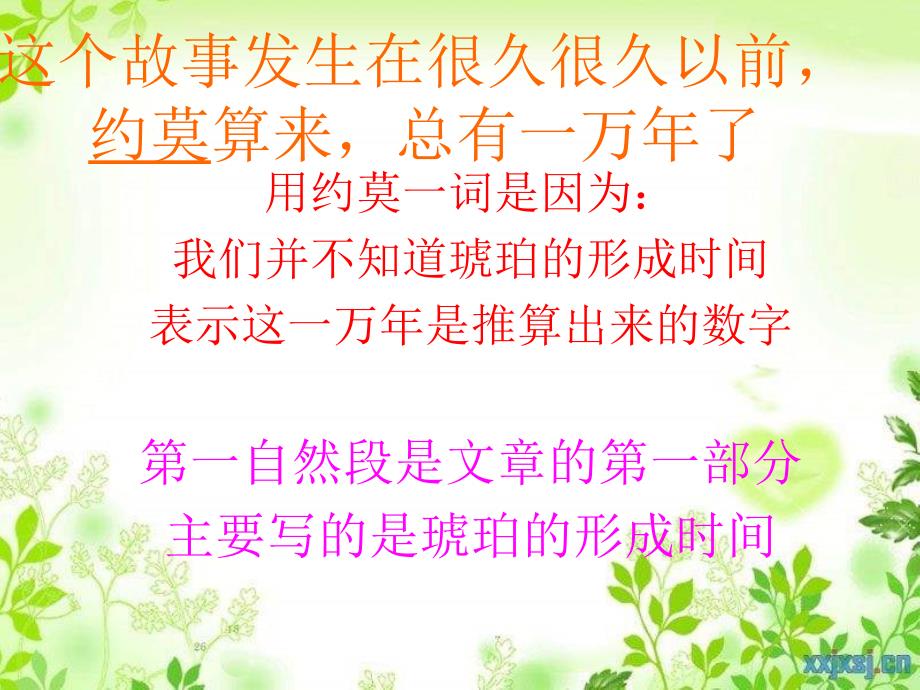 北师大版语文第十册琥珀ppt课件1_第4页