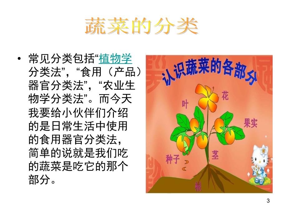 认识蔬菜小学一年级课堂PPT_第3页