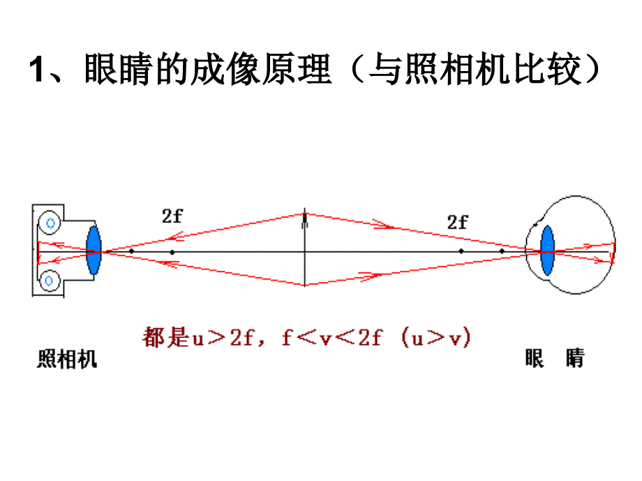 64眼睛和眼镜_第4页