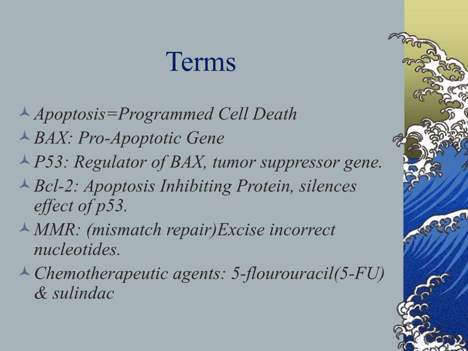 Role of BAX in the Apoptotic Response to Anticancer AgentsBa在抗癌药物的凋亡反应的作用_第3页