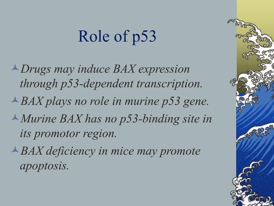 Role of BAX in the Apoptotic Response to Anticancer AgentsBa在抗癌药物的凋亡反应的作用_第5页