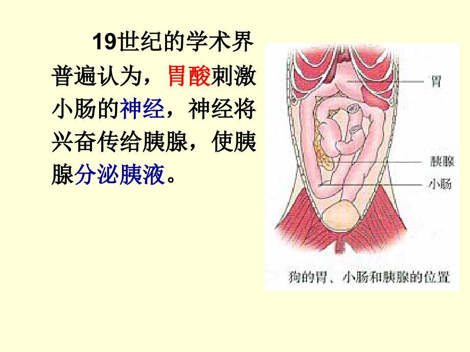 通过激素的调PPT课件_第3页