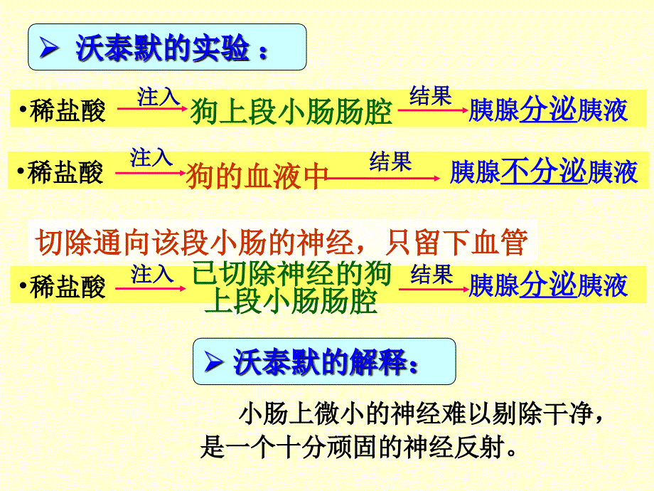 通过激素的调PPT课件_第4页