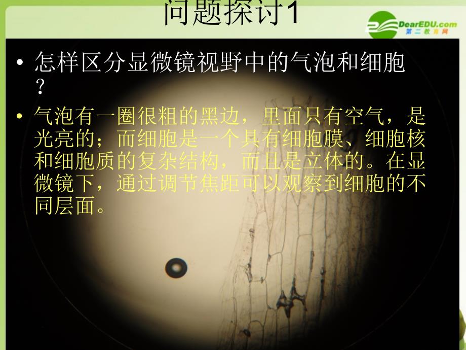 湖南师大高一生物细胞膜系统的边界课件新人教版_第2页