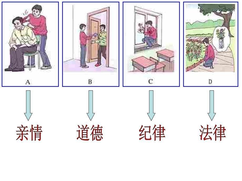 《公民的义务》参考课件3_第5页