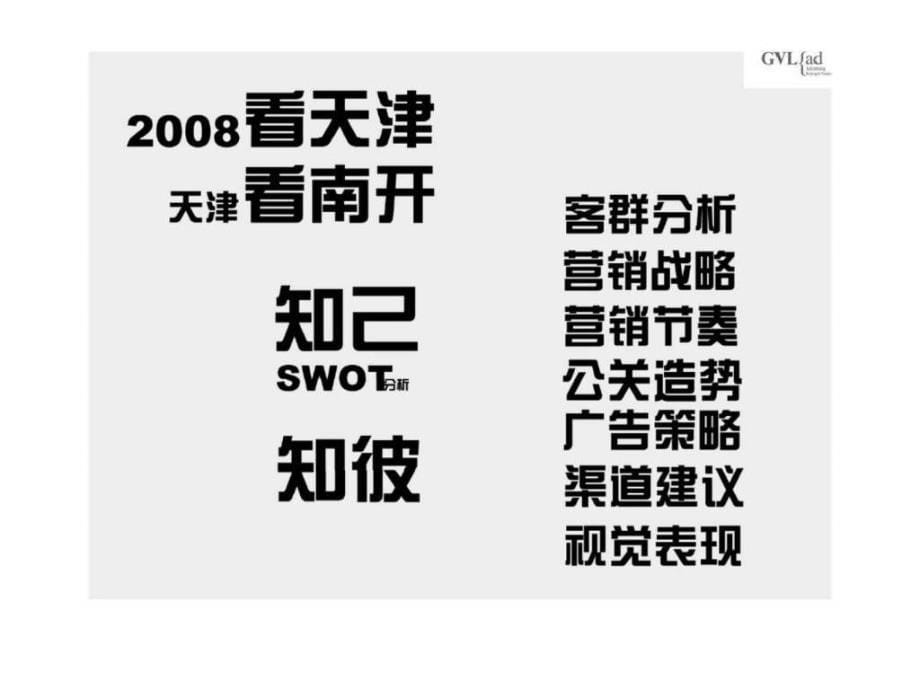 中海地产天津南开综合体项目整合策划方案_第5页