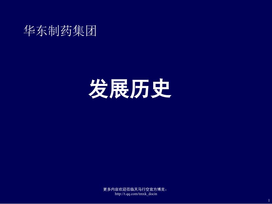 某医药组织架构及营销战略（PPT 22页）_第2页