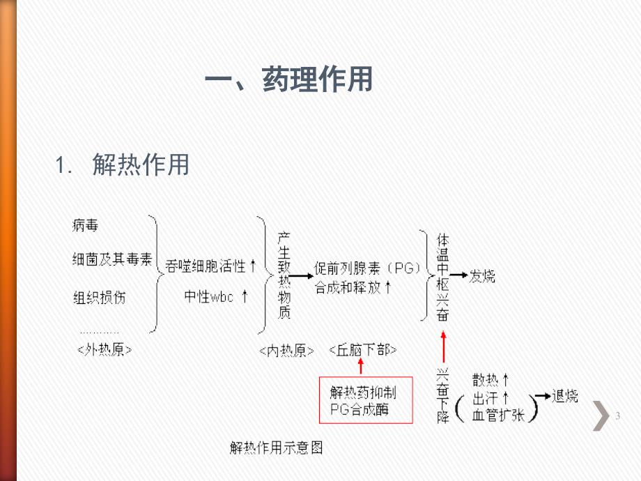 解热镇痛抗炎药PPT课件_第3页