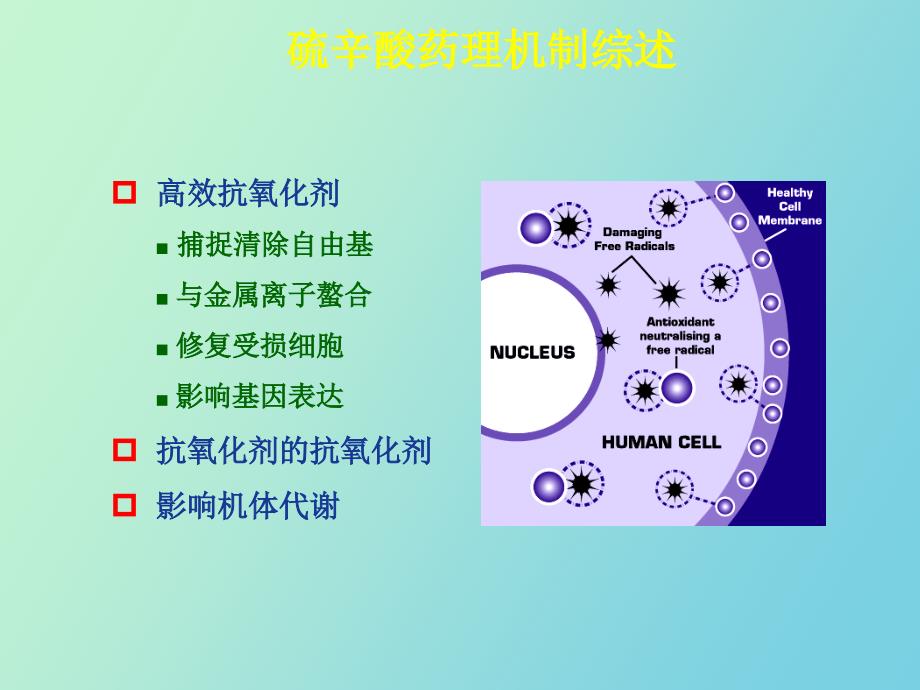 硫辛酸在内分泌科的应用_第4页