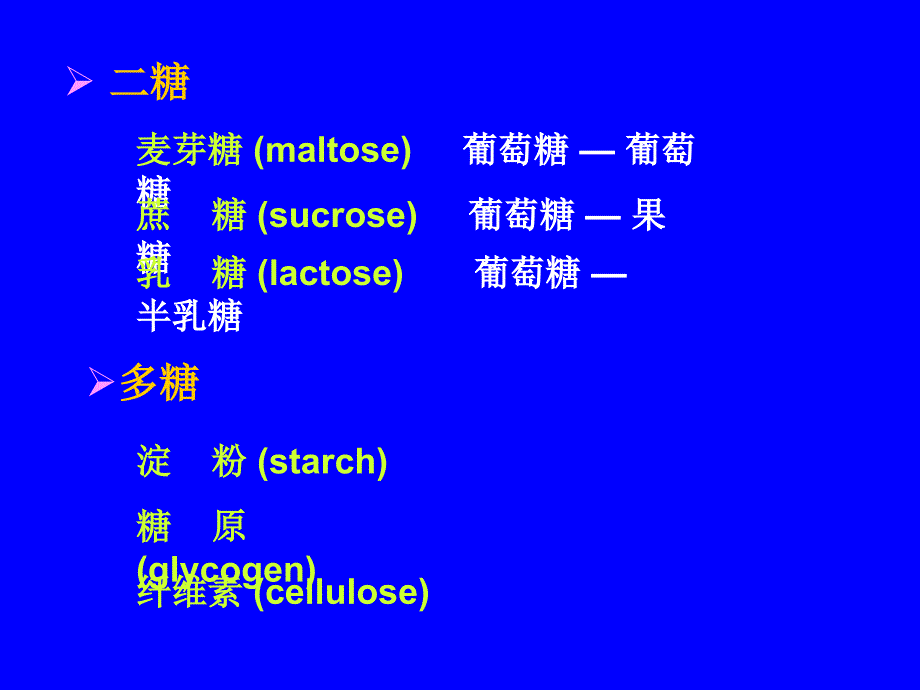 生物化学：第7章-糖代谢_第4页