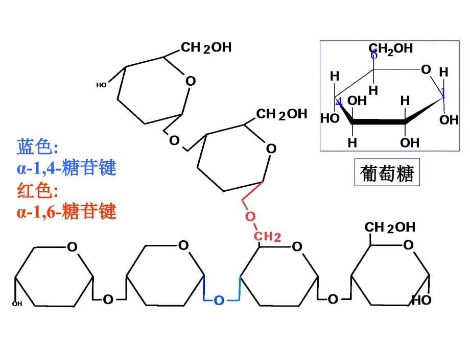 生物化学：第7章-糖代谢_第5页