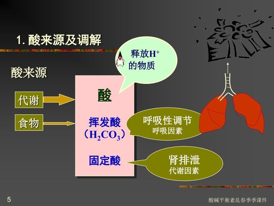 酸碱平衡紊乱春季季课件_第5页