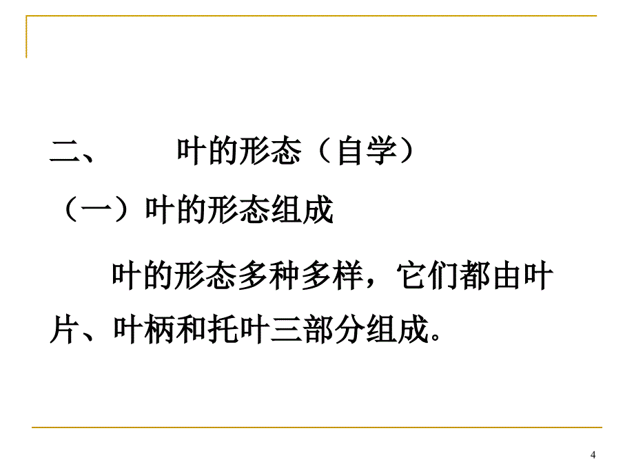 叶的结构ppt课件_第4页