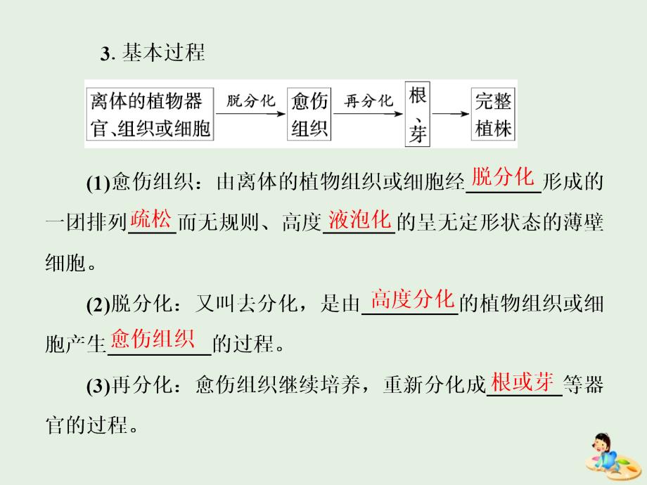 高中生物专题3课题1菊花的组织培养课件新人教版选修1_第4页