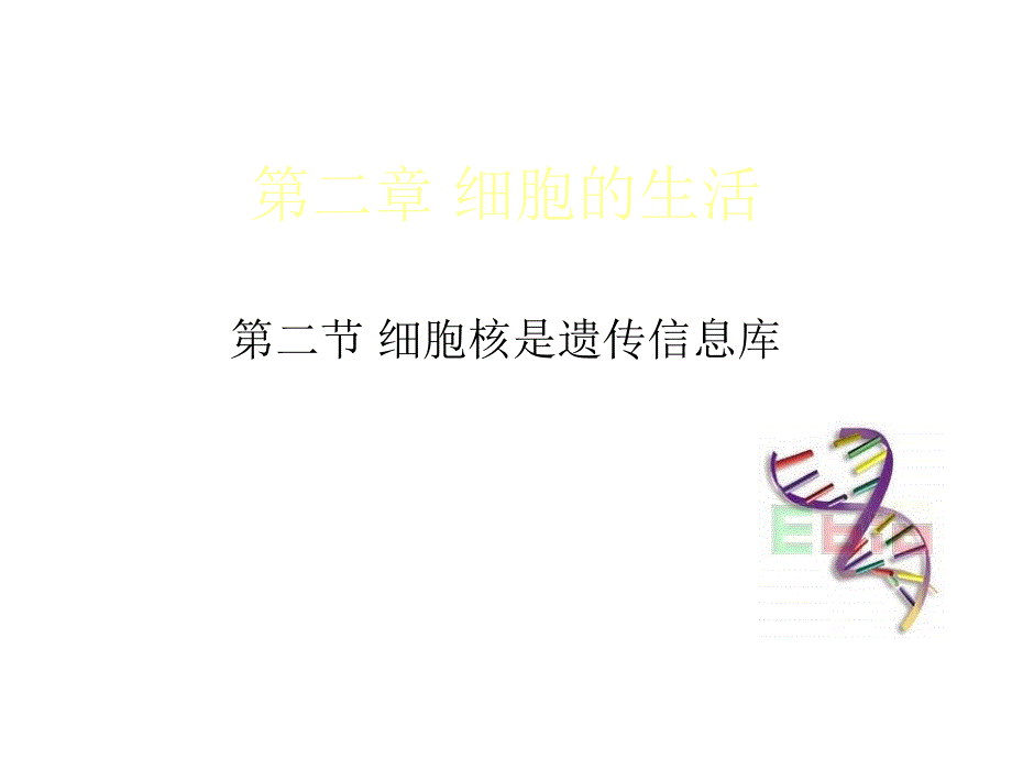 七年级生细胞核_第1页