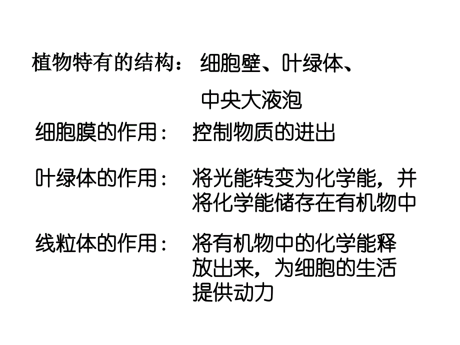 七年级生细胞核_第2页