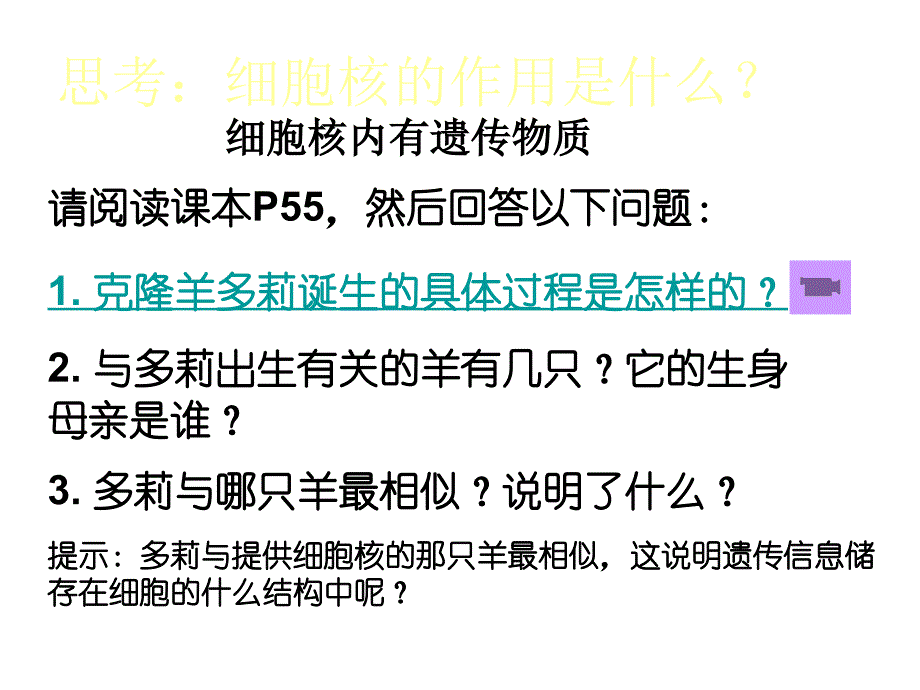 七年级生细胞核_第3页