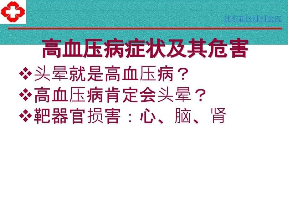 高血压病 糖尿病 中西医防治_第5页