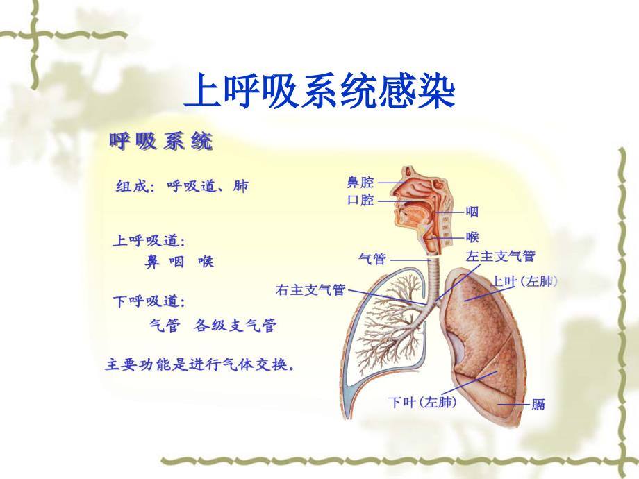 幼儿园常见传染病---课件_第2页