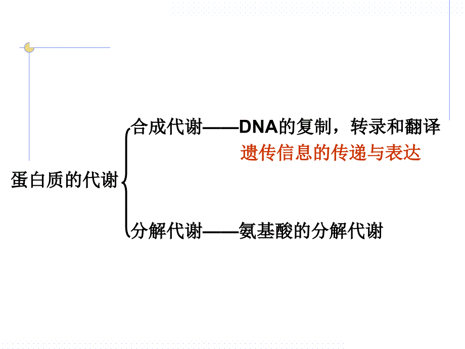 生物化学氨基酸代谢_第1页