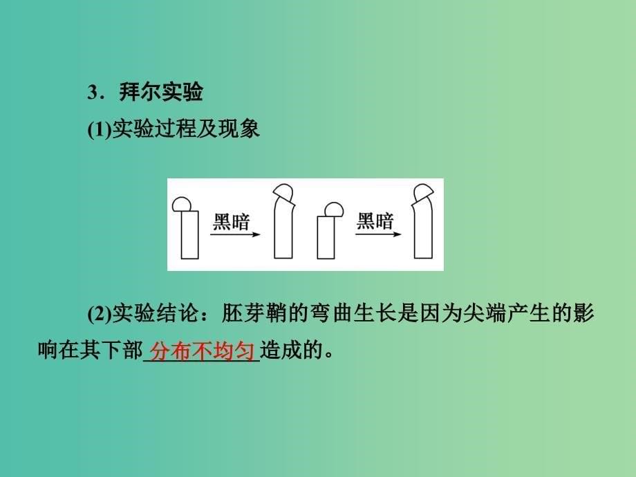 高考生物第一轮复习 第一单元 第5讲 植物的激素调节课件 新人教版必修3.ppt_第5页