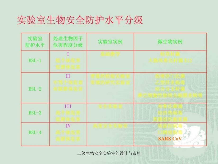 二级生物安全实验室的设计与布局课件_第4页